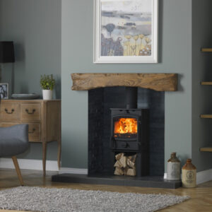 FX4 multi-fuel stove