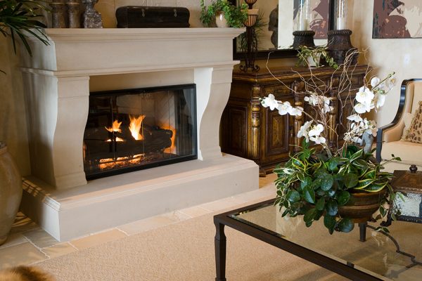 Gallery Fireplaces Traditional